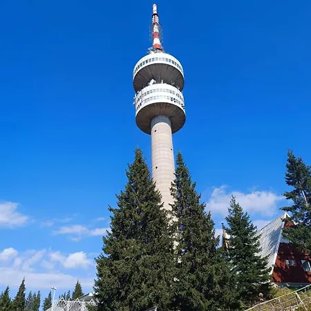 -тони Holiday home